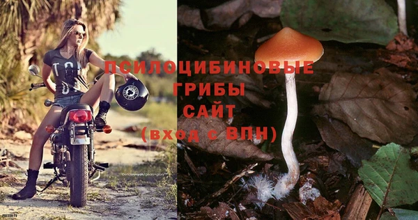 прущая мука Ельня