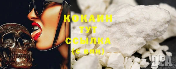 прущая мука Ельня