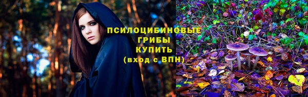 прущая мука Ельня