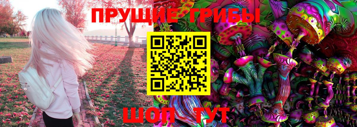 Галлюциногенные грибы Psilocybe Избербаш