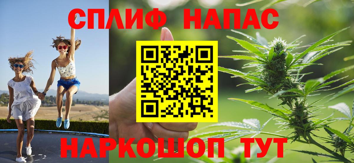 Каннабис планчик Избербаш